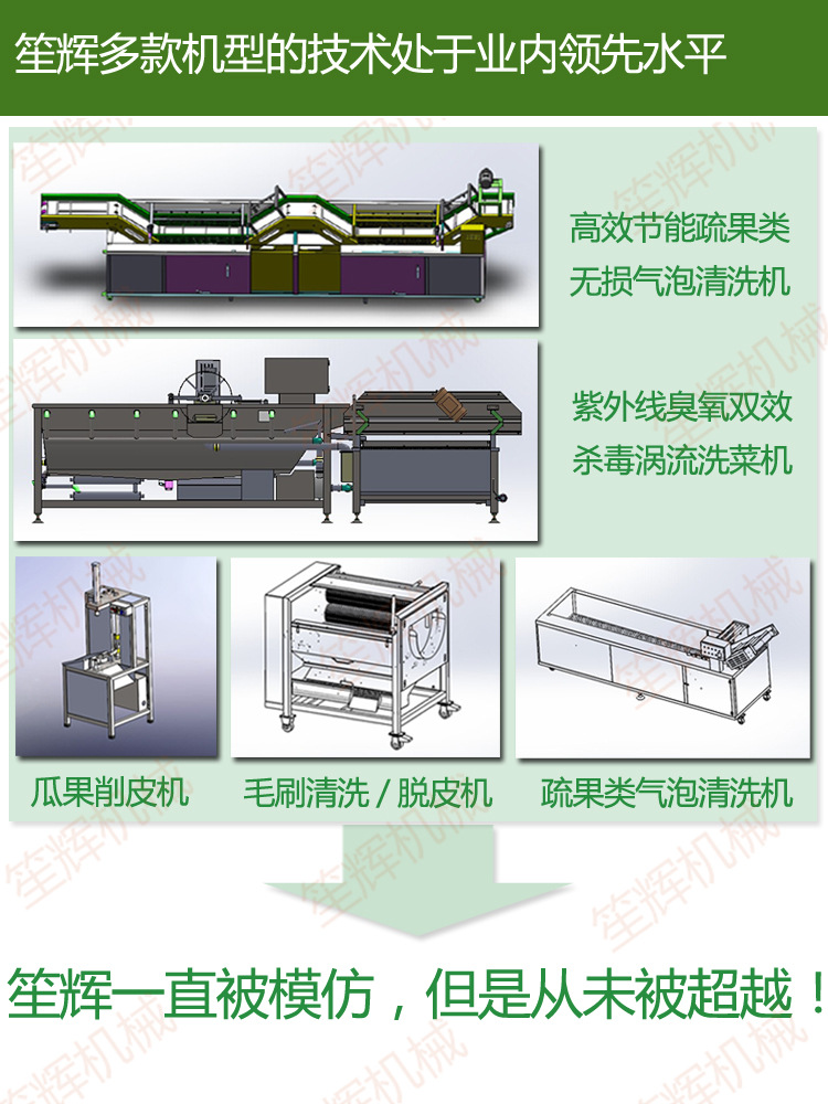 供應清洗機WL-24 專業臭氧消毒洗大棗 去雜去毛發洗菜機 商用