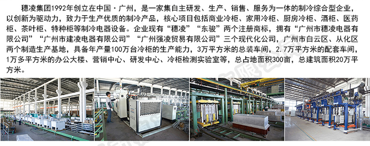 穗凌SL-900雙門立式陰涼冷柜單溫冷藏冰柜 商用展示柜 冷藏柜